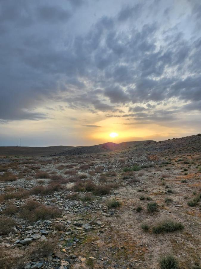 Nemo Guest House Buhara Dış mekan fotoğraf